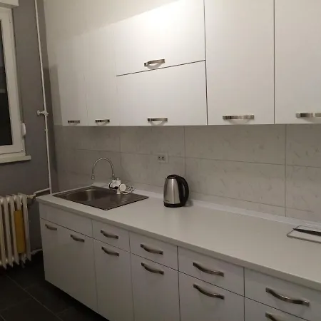 Cetojevic Apartment
